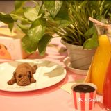 小朋友的放电指南‖米格鲁来啦！
