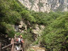 -云台山风景名胜区