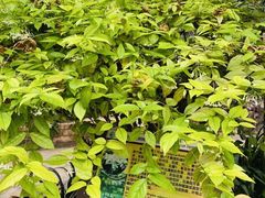 -华南国家植物园-售票处