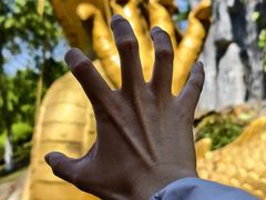 -宜兴龙背山森林公园