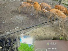 -鹿院坪生态旅游景区