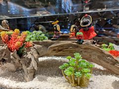-红辣椒·川菜·火锅(大洋中心店)