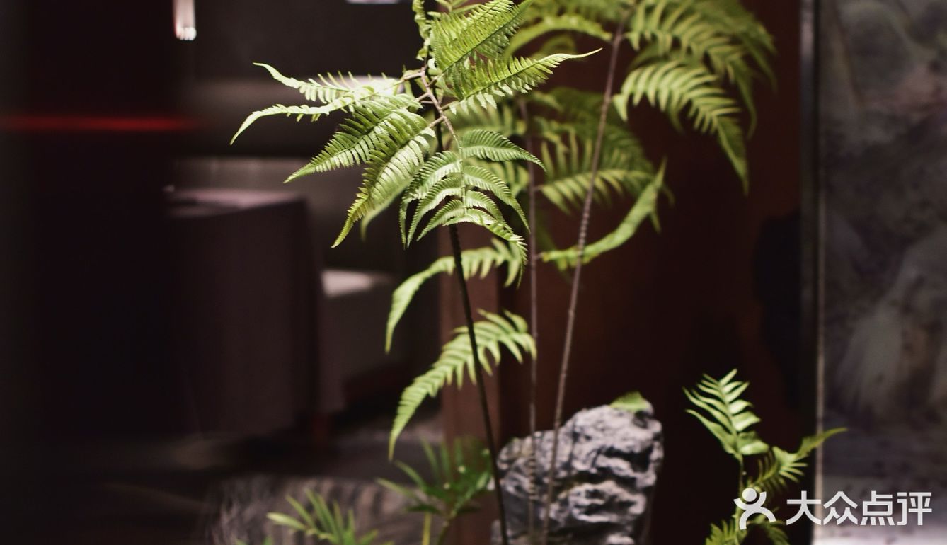 北京|在这个春天，赴一场漂亮饭