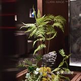 北京|在这个春天，赴一场漂亮饭