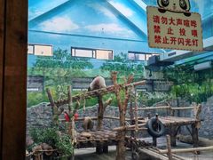 -黔灵山公园