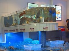 -金苑海鲜酒家(来魅力店)