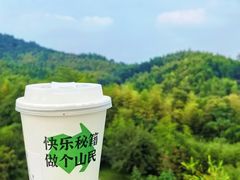 -四明山国家森林公园