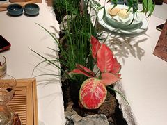 -叶叶菩提·晋福宫