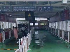 -武汉关码头(轮渡站)