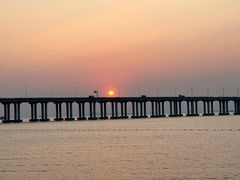 -宝安西湾红树林湿地公园