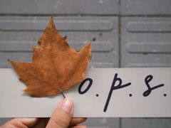 -O.P.S. CAFE