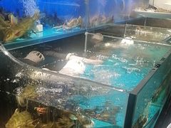 -苏格里岛自助烤肉海鲜火锅(成都金牛万达店)