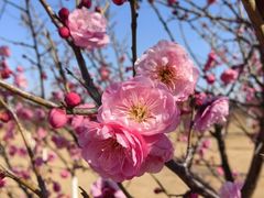-郑和公园