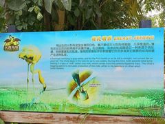 -广州长隆飞鸟乐园