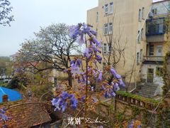 -文化名人故居一条街