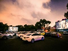 -枫花园汽车电影院(朝阳公园店)