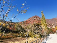 -古崖居风景名胜区