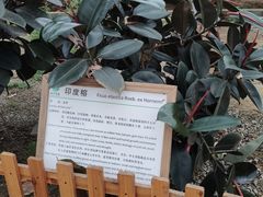 -上海都市菜园