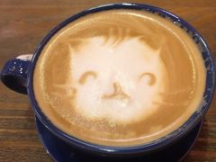 -猫色咖啡·猫咖