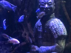 -华夏文旅西安度假区