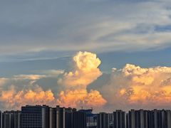 -洋湖国家湿地公园