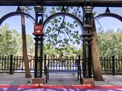 -合肥滨湖国家森林公园