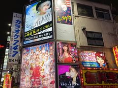 -六本木新城展望台(东京城市景观)