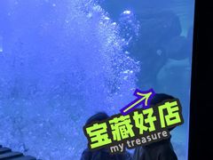 -左海海底世界