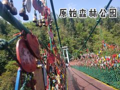 -中国科学院西双版纳热带植物园
