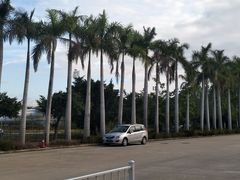 -三亚航空旅游职业学院