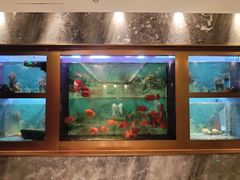 -粤汕小厨(北站店)