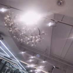 -潘多拉Hairsalon