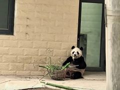 -石家庄市动物园