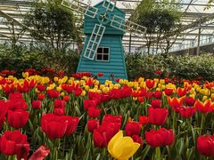 -南宫五洲植物乐园