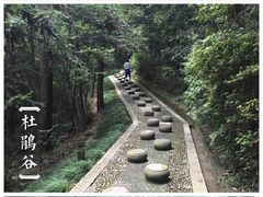 -溪口-滕头旅游景区