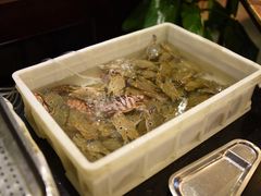 -三亚胜意海景酒店·海鲜自助餐厅(三亚湾路店)