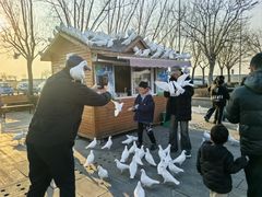 -天津妈祖文化园