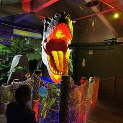 点击看大图 -恐龙探索乐园(磁器口店)