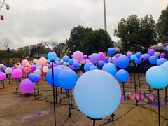 -锦江乐园舞狸花花游园会(夜场专享)