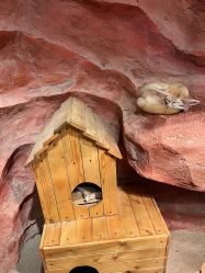 -Zoolung Zoolung动物主题公园(海信广场店)