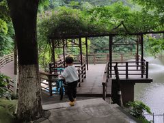 -百林公园-两江幸福广场
