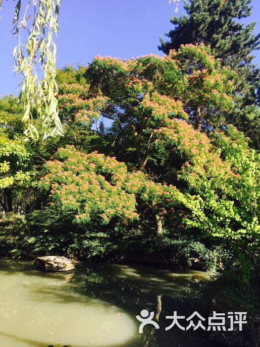 中山公园-图片-温哥华景点玩乐-大众点评网