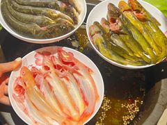 -石锅苗苗鱼(武汉首店)