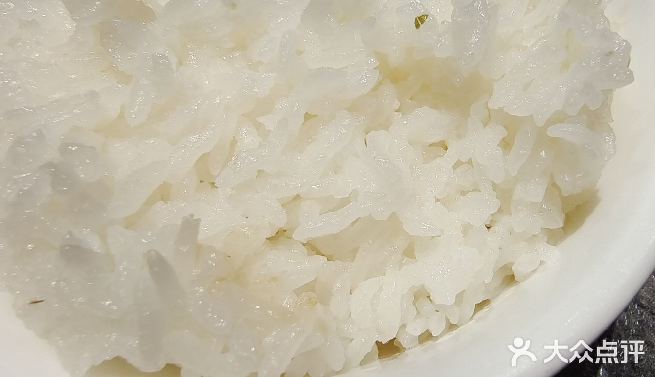 京城东北菜｜扛把子｜金掌勺｜一吃一个不吱声｜好吃不贵量又大
