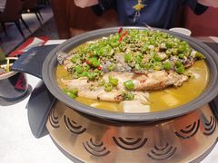 青椒麻烤鱼-锦尚阁烤鱼(望京新荟城店)