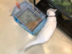 -雨林宠物医院 非犬猫异宠专科