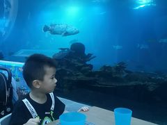 -海棠湾洲际-涛·海底餐厅·美人鱼·自助餐·海底隧道