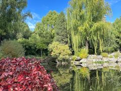 -三忘湖 SWANSEEN(柳荫公园店)