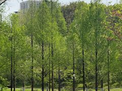 -浙江农林大学(东湖校区)