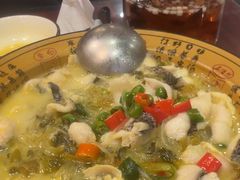 -邵年鸽(杨庄店)